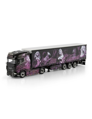 https://www.wsi-models.com/en/pluta-daf-xg-4x2-curtainside-t