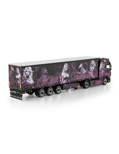 https://www.wsi-models.com/en/pluta-daf-xg-4x2-curtainside-t