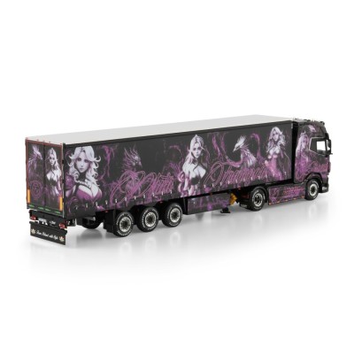 https://www.wsi-models.com/en/pluta-daf-xg-4x2-curtainside-t