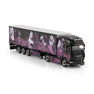 https://www.wsi-models.com/en/pluta-daf-xg-4x2-curtainside-t